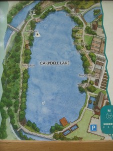 Carpdell lake